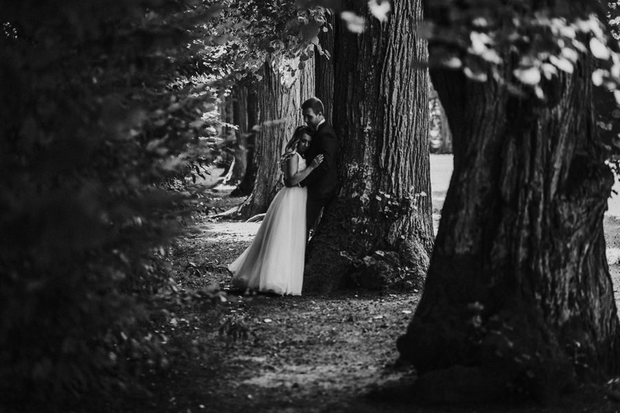 sesja ślubna w parku