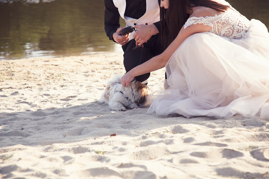 sesja ślubna z psem